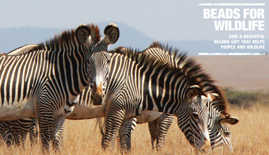 Beads For Wildlife campaign sign with image of three black and white striped zebras.